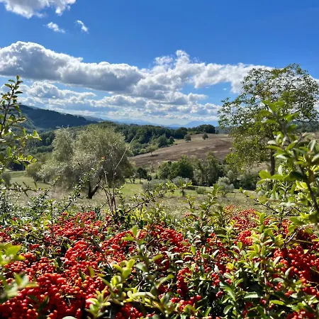 Campo Della Corte 3*