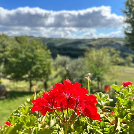 Panzió Campo Della Corte