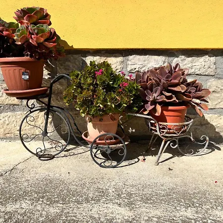 Bed & Breakfast Campo Della Corte 3*