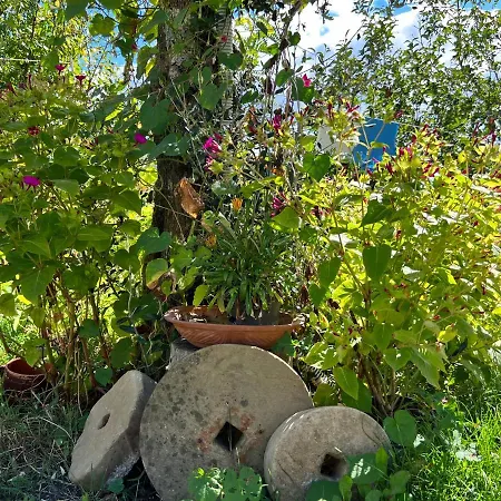 Campo Della Corte Castelpagano