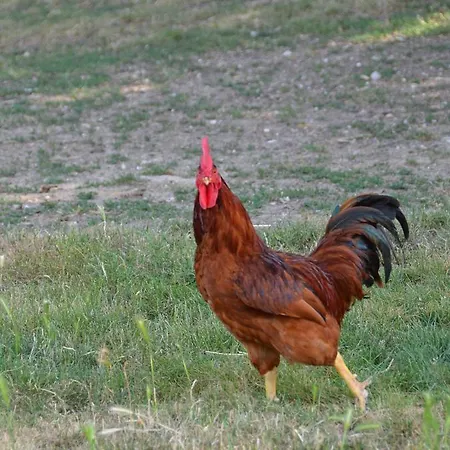 Panzió Campo Della Corte 3*