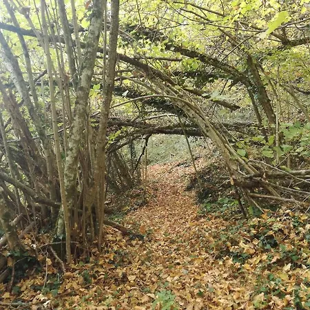 Campo Della Corte Panzió